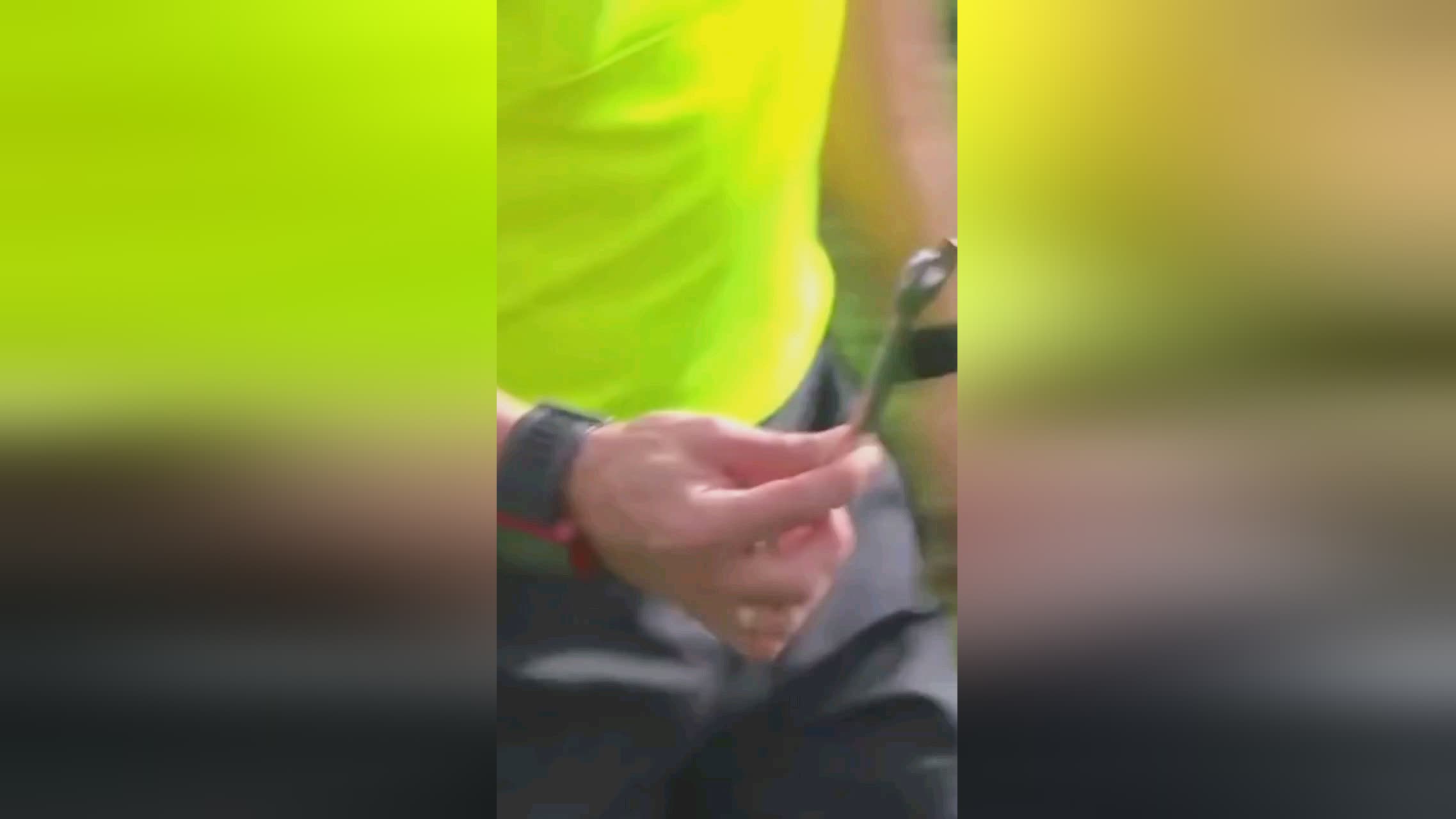 队近年来不
